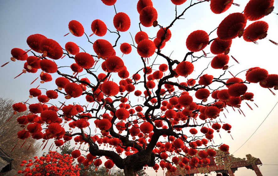 Un árbol decorado con farolillos rojos en el parque Ditan de Pekín, en preparación para la celebración anual del Festival de Primavera, el 23 de enero de 2014. 