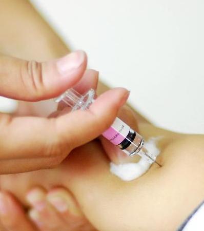 Uruguay inicia vacunación contra fiebre aftosa