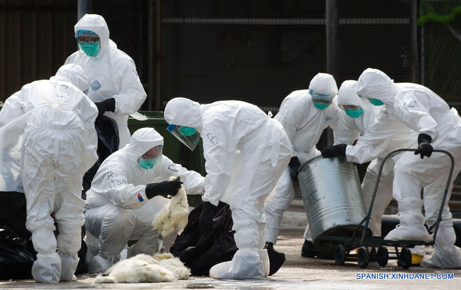 Se reportan seis nuevos casos de H7N9 en China