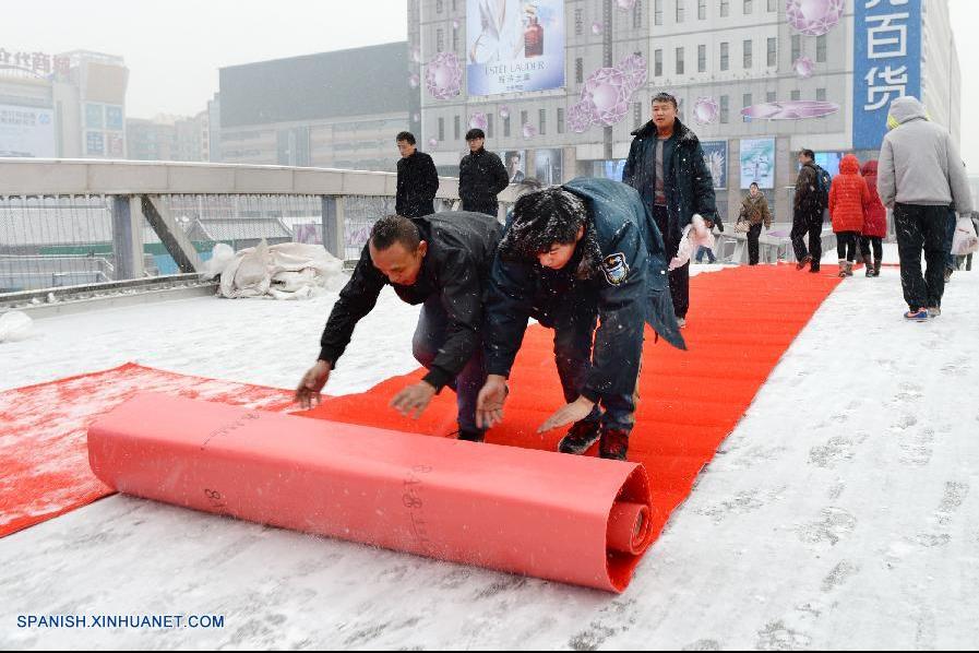 Beijing registra la primera nevada de este invierno (2)