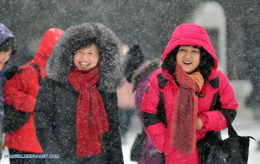 Beijing registra la primera nevada de este invierno (5)