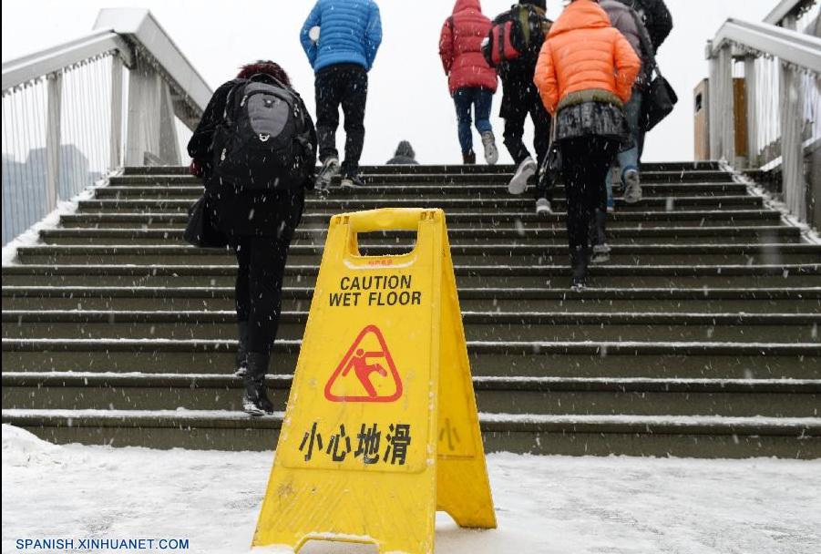 Beijing registra la primera nevada de este invierno (4)