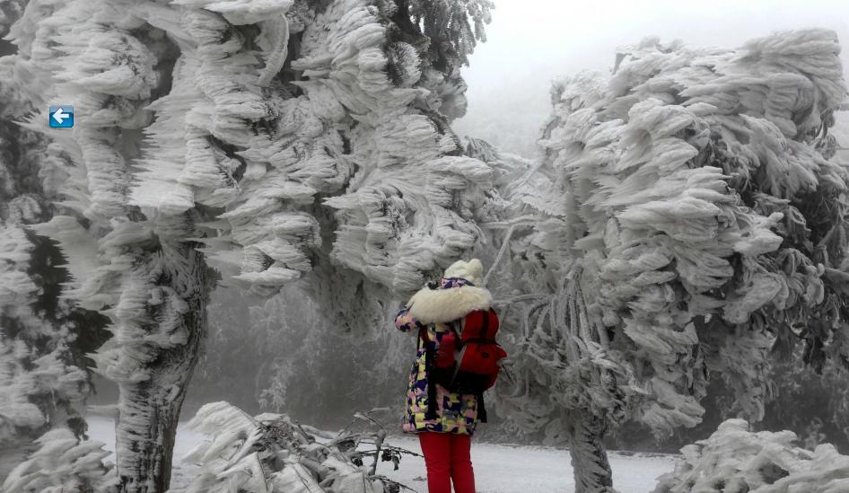 Guangxi en alerta por frío