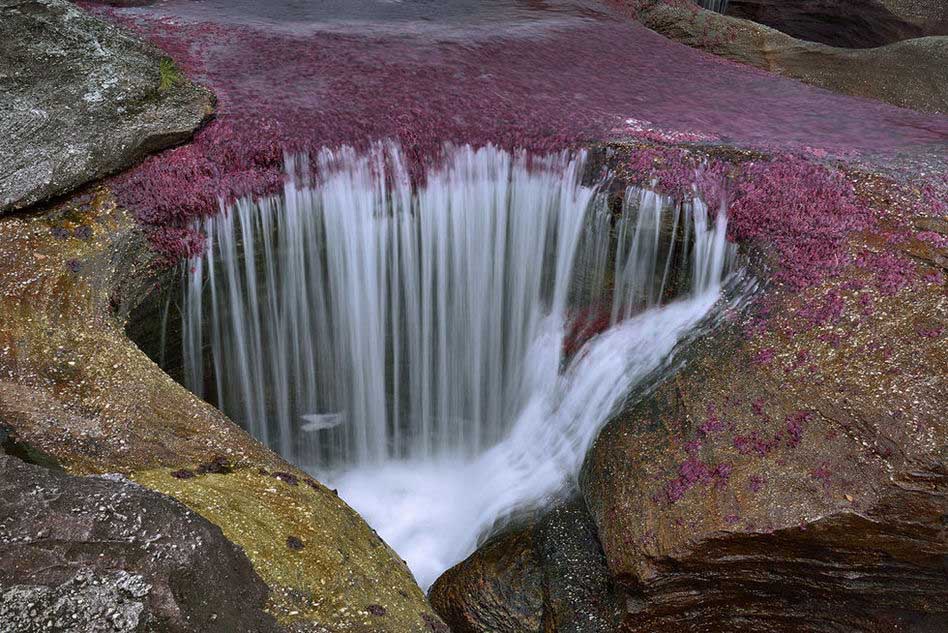 Río Caño Cristales en Colombia