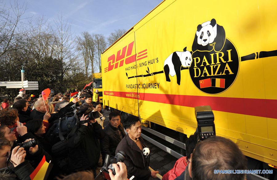 Pandas gigantes de China llegan a Bélgica