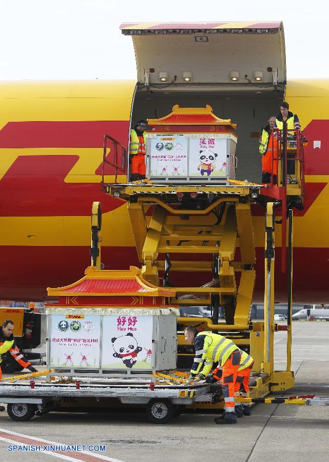 Pandas gigantes de China llegan a aeropuerto belga