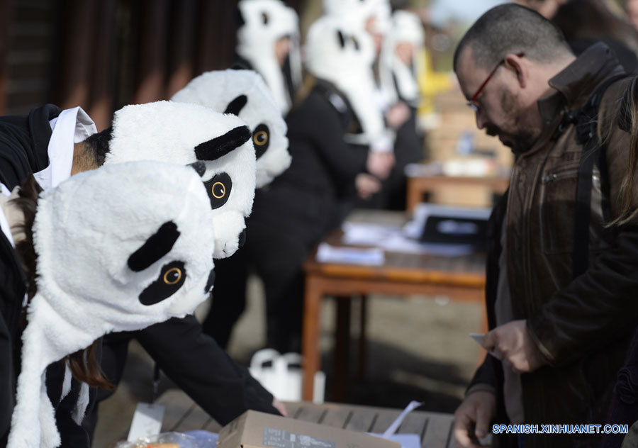 Bruselas recibe a dos pandas gigantes chinos