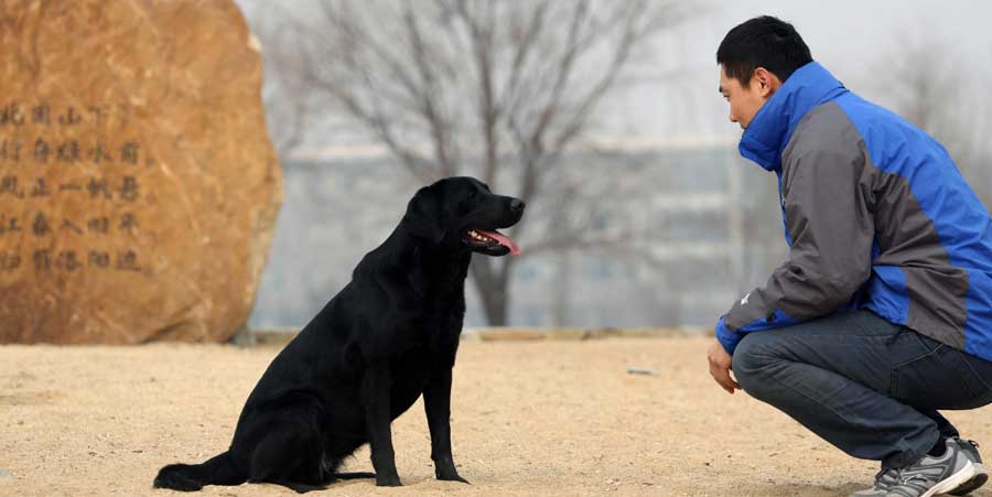Un entrenador enseña al perro guía Juddy en el centro de entrenamiento de Dalian, provincia de Liaoning, el 19 de febrero de 2014. [Foto/Xinhua]