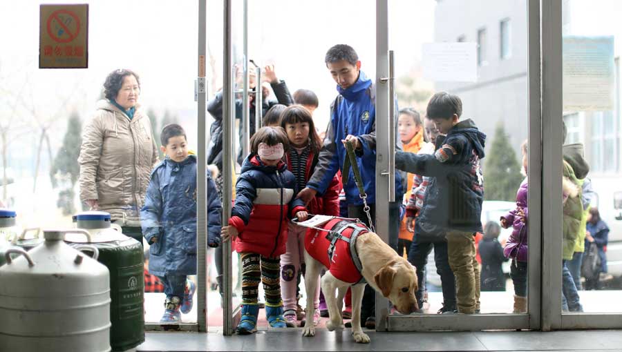 Niños visitan el centro de entrenamiento de Dalian, provincia de Liaoning, el 22 de febrero de 2014. [Foto/Xinhua]