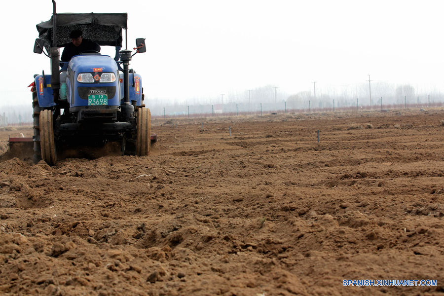 Agricultores chinos esperan reforma agraria más amplia