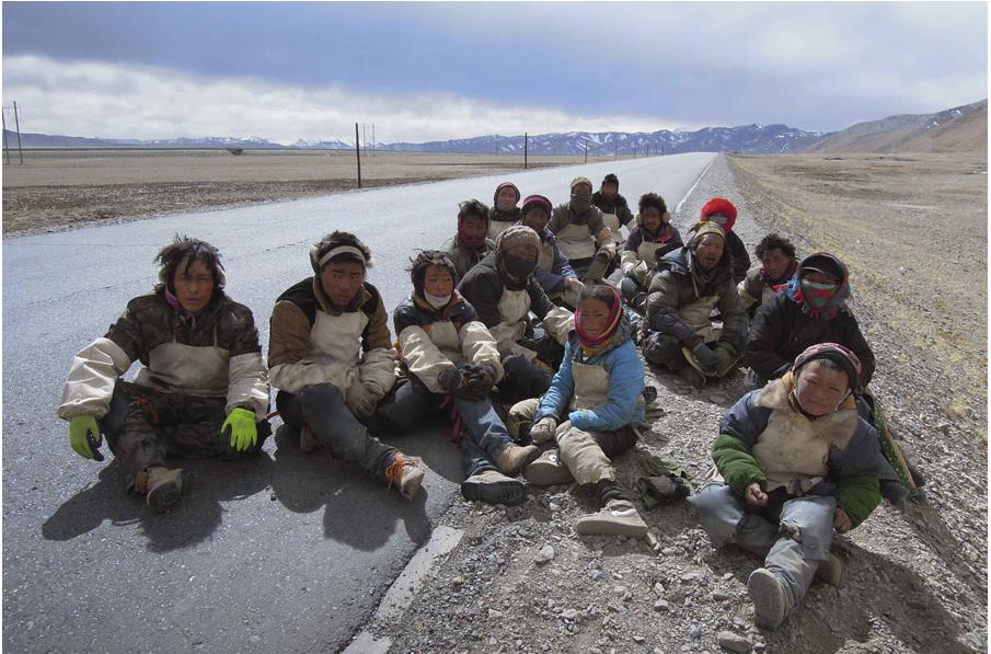 Peregrinos tibetanos hacen reverencias por el camino (2)