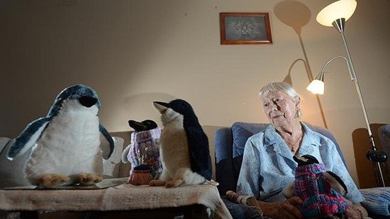 Anciana australiana tejía suéteres para pingüinos para evitar el daño por la fuga de petróleo crudo