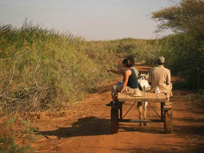 Parque Nacional de Djoudj, Senegal [Foto/china.org.cn]
