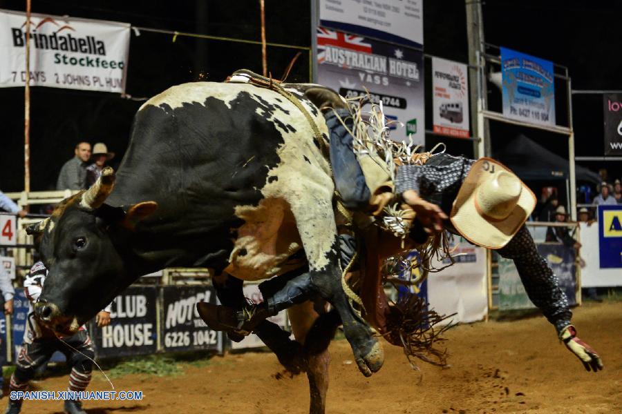 Competición de monta de toros atrae la atención de los australianos