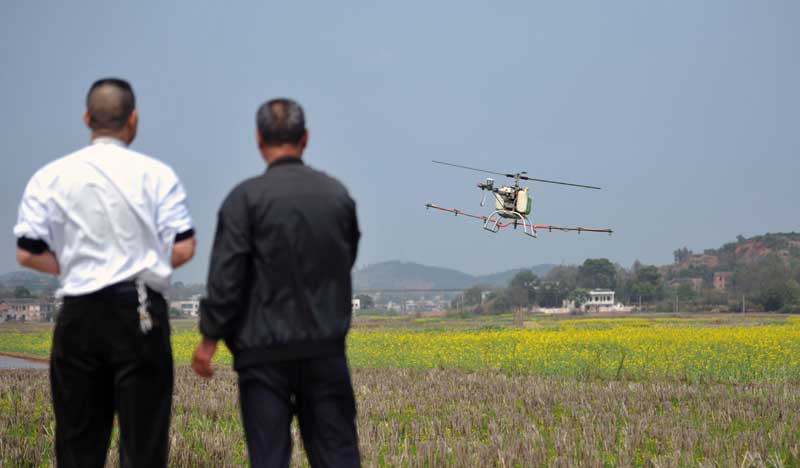 Zhang Aiguo (derecha) y un amigo hacen volar un avión en un campo de Changsha, provincia de Hunan, el 20 de marzo. El Wall Street Journal informó en mayo de 2013 que los drones son la última novedad en el campo de la agricultura en Estados Unidos, y utiliza tecnología de sistemas de posicionamiento global, sensores y iPads para monitorear con mayor precisión los campos. [Foto/Xinhua]