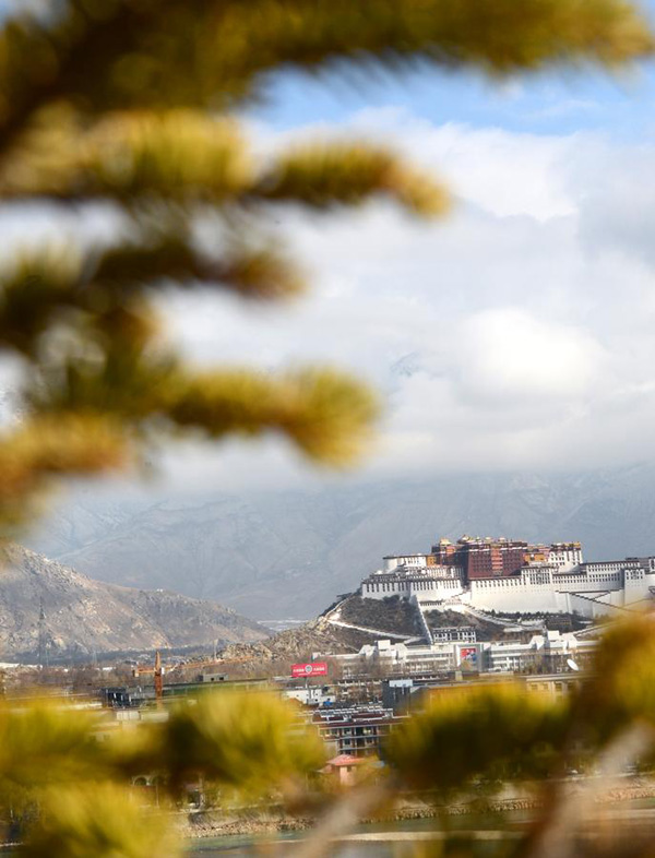 Lhasa invertirá 1.600 millones de dólares en la plantación de árboles