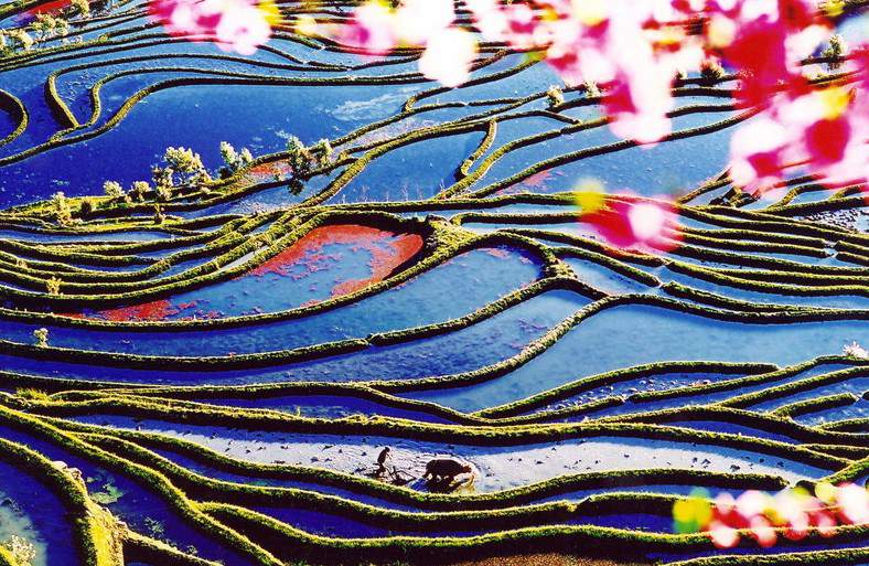 Esta imagen muestra el hermoso paisaje de las terrazas de arroz de Hani, en el condado de Yuanyang, provincia de Yunnan. Las terrazas de Hani terrazas fueron nombradas patrimonio de la humanidad en 2013.  