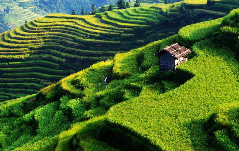 Terrazas de Jiabang en la provincia de Guizhou. 