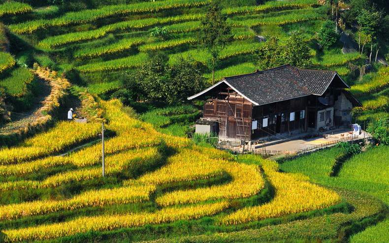 Terrazas de Qinren en la provincia de Hunan.