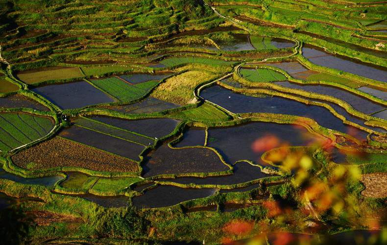 Terrazas de Gaoyao en la provincia de Guizhou.