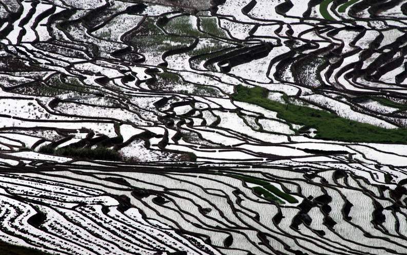 Vista de arrozales escalonados del condado de Youxi, ciudad de Sanming, en la provincia de Fujian.  