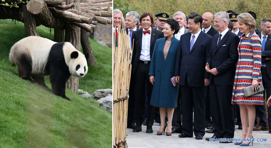 Jefes de Estado de China y Bélgica inauguran casa para pandas en zoológico local