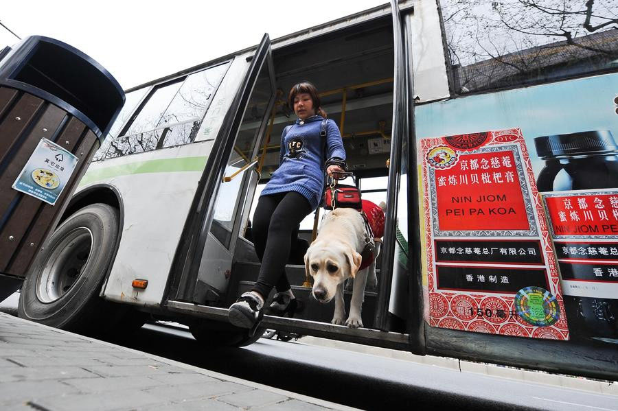 Shanghai otorga derechos a los perros guía