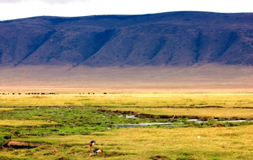Cráter de Ngorongoro, Tanzania 