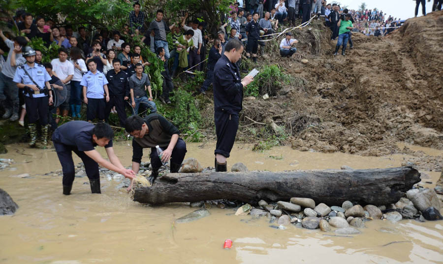 Desentierran árbol de ébano de 4.000 años de antigüedad en China