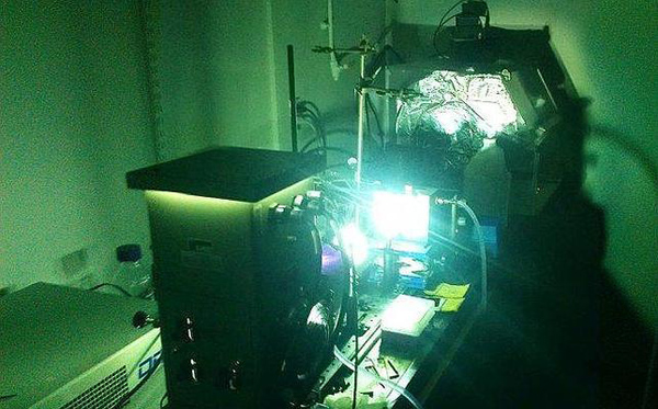Científicos descubren cómo generar energía solar en la oscuridad