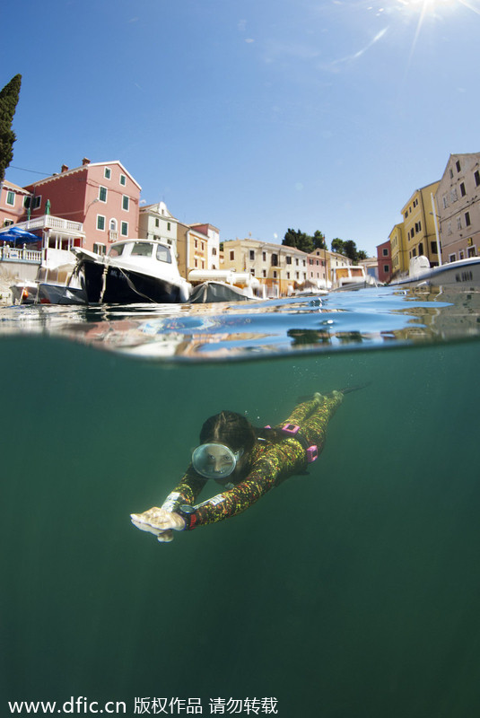 Anuncian ganadores de concurso de fotografía subacuática 2013/14