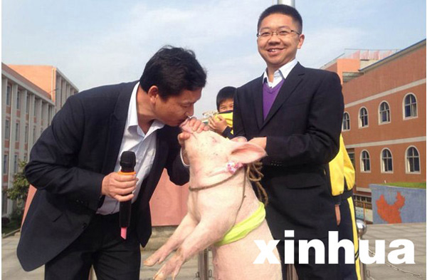 Profesor besa a un cerdo tras perder apuesta con alumnos