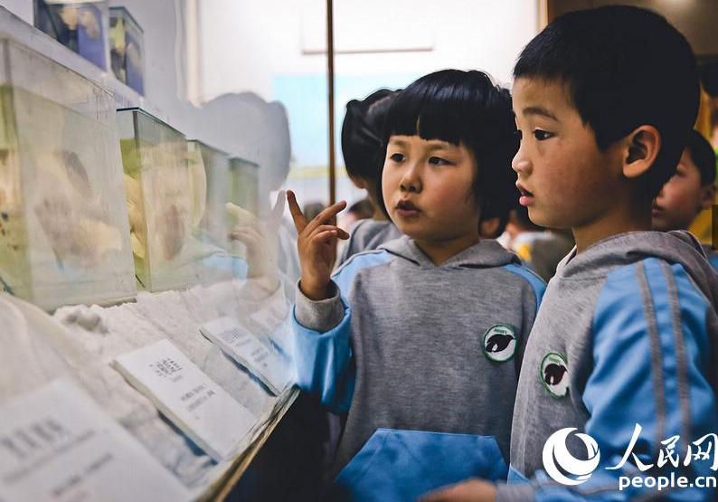 Ciudadanos de Shanghai se despiden de sus recuerdos de la infancia (7)