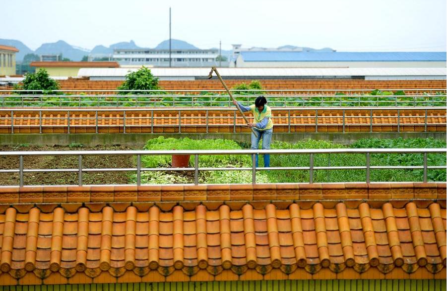 Jardín en un tejado de Liuzhou (4)