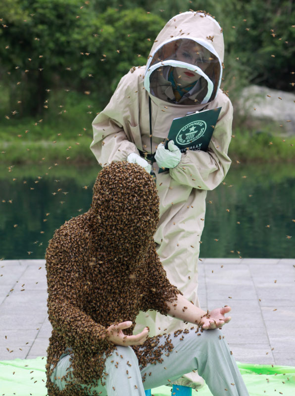 Hombre en Jiangxi bate record Guinness de abejas