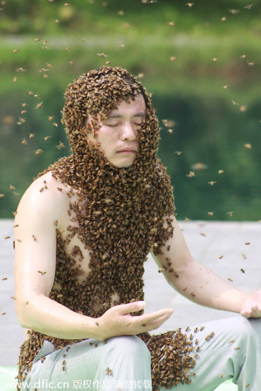 Hombre en Jiangxi bate record Guinness de abejas
