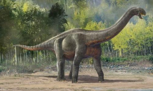 Paleontólogos argentinos descubren el dinosaurio más grande del mundo