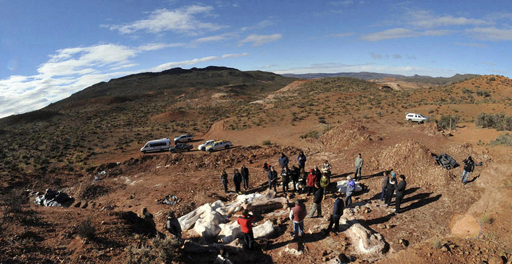 Paleontólogos argentinos descubren el dinosaurio más grande del mundo 3