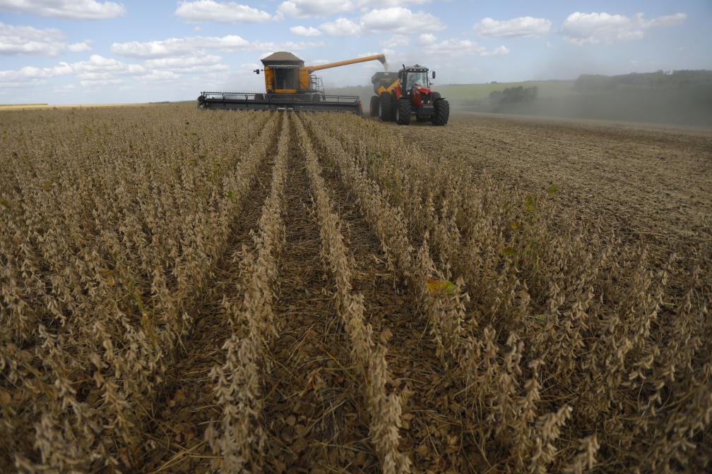 Tractores cosechan soya en un campo de soya en Fazenda Carmo, en Passo Fundo, estado de Río Grande do Sul, Brasil, el 5 de marzo de 2020. Brasil se ha posicionado como el principal proveedor del mercado chino en productos clave como soya, carne bovina, celulosa, algodón en bruto, azúcar y carne de ave, según la Agencia Brasileña de Promoción de Exportaciones e Inversiones (ApexBrasil). (Xinhua/Lucio Tavora) 