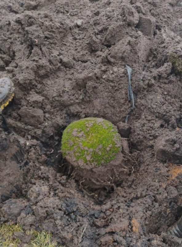 Imágenes: Valiosa flora y fauna silvestre monitoreada en área de conservación San Antonio– Sierra Nevada en Perú