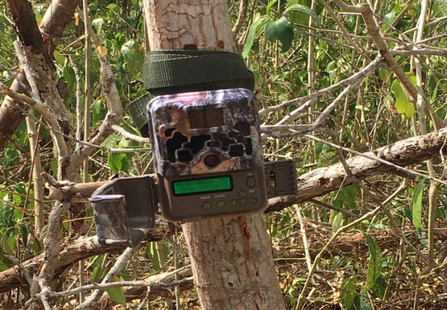 Imágenes: Reserva Estatal de Dzilam, una joya ecológica de México