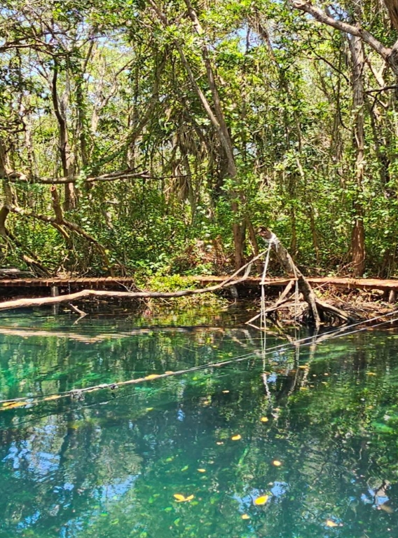 Imágenes: Reserva Estatal de Dzilam, una joya ecológica de México
