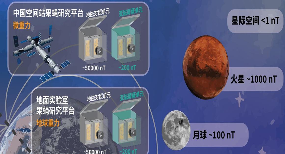 Estación Espacial de China realizó más de treinta nuevos proyectos en 2025