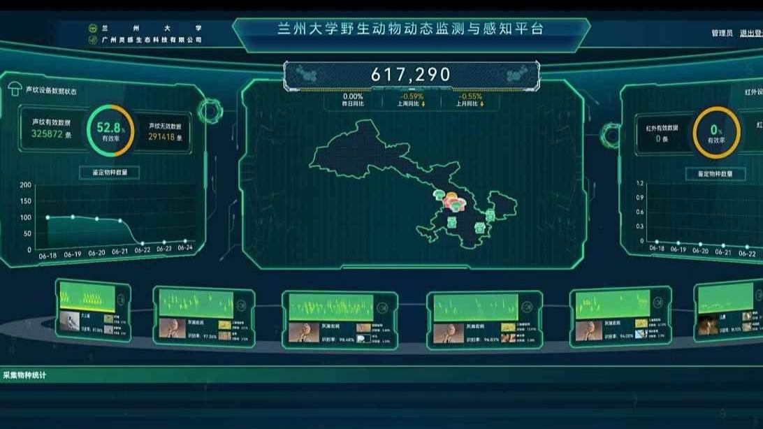 Lanzhou utiliza tecnología acústica para proteger la vida de las aves silvestres