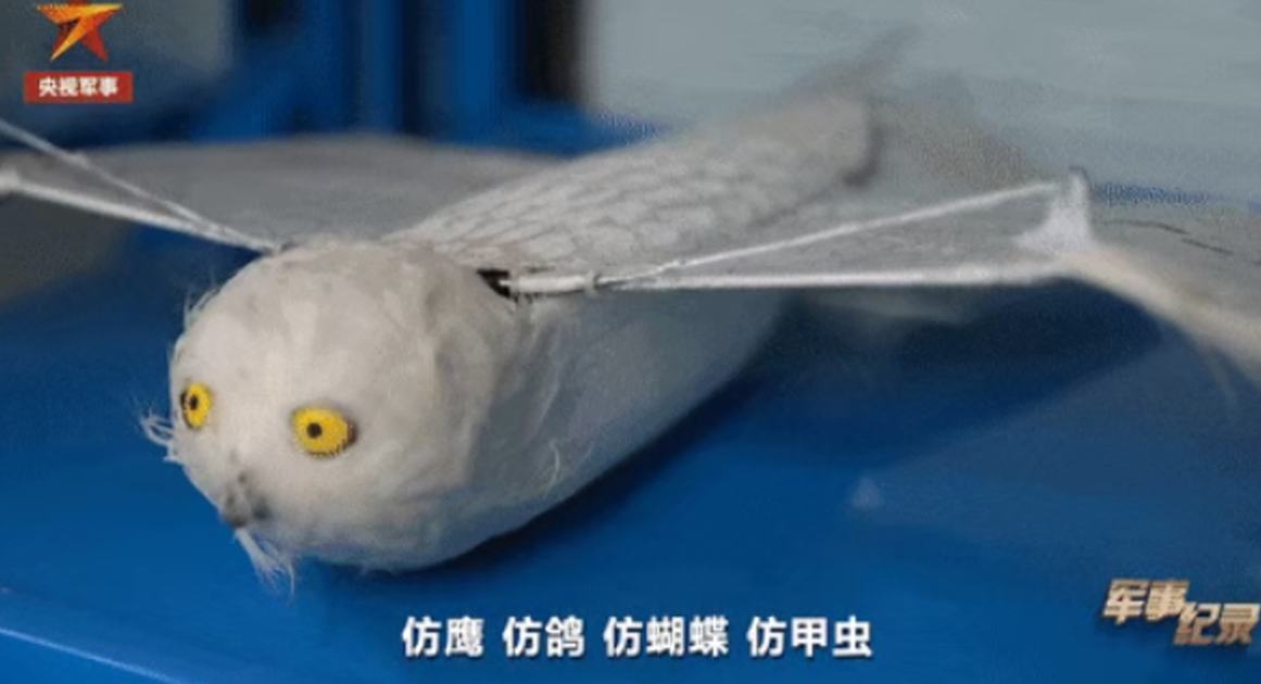 Investigadores chinos desarrollan drones de alas batientes que imitan águilas, palomas, mariposas y escarabajos