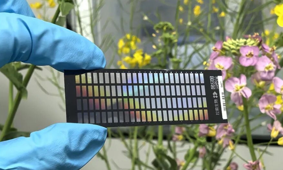 Foto: Diario de Ciencia y Tecnología