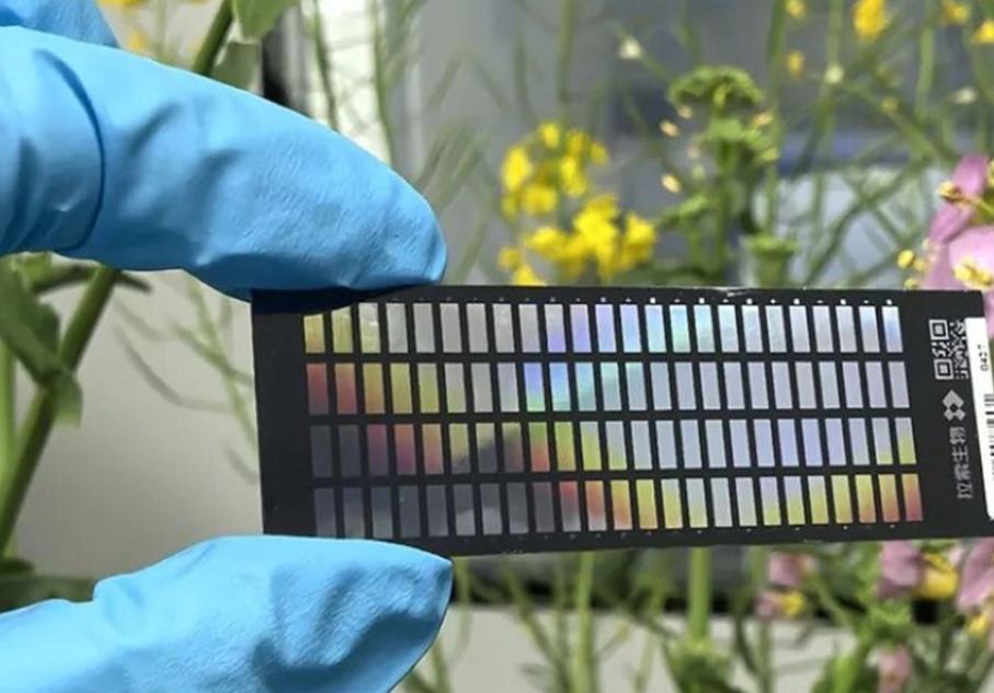 China desarrolla su primer chip de genes en fase sólida "Zhongxin Oil No. 1"