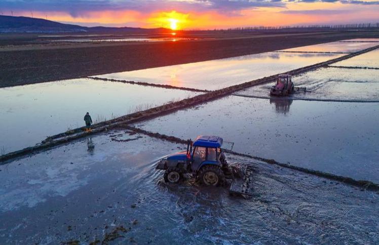 China y EEUU colaboran para ampliar cooperación comercial en sector agrícola, afirma Ministerio de Comercio