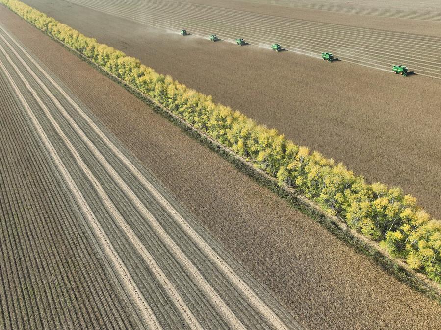 China emite plan quinquenal para modernización agrícola y rural