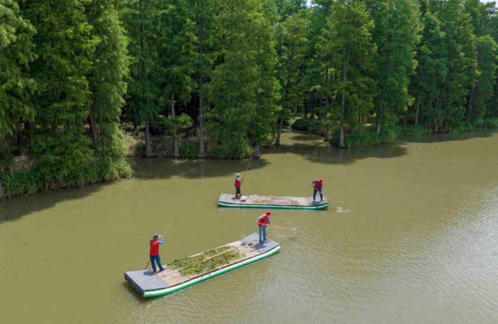 Se celebra el Día Mundial del Medio Ambiente en China